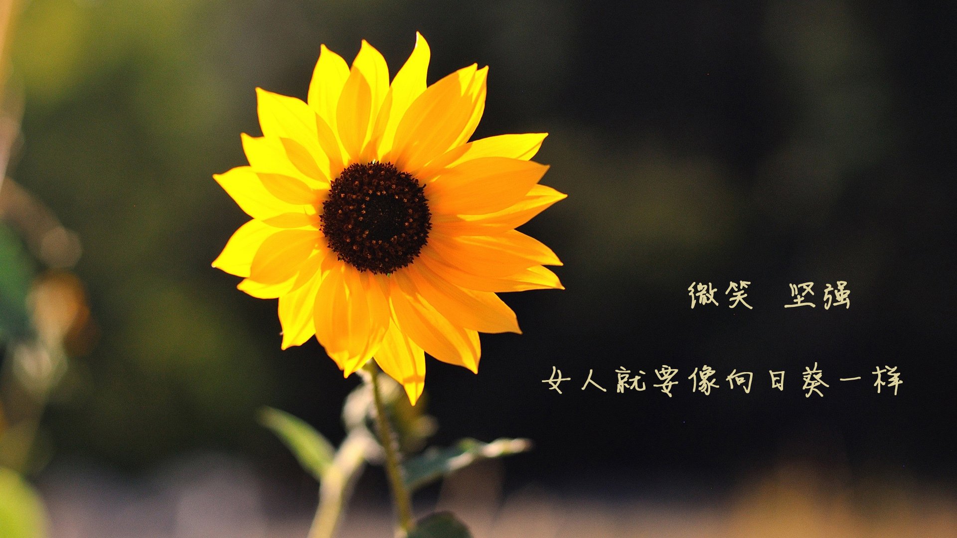 未来智慧场馆“云管理”成为行业标配，基础设施不断升级，智慧场馆解决方案