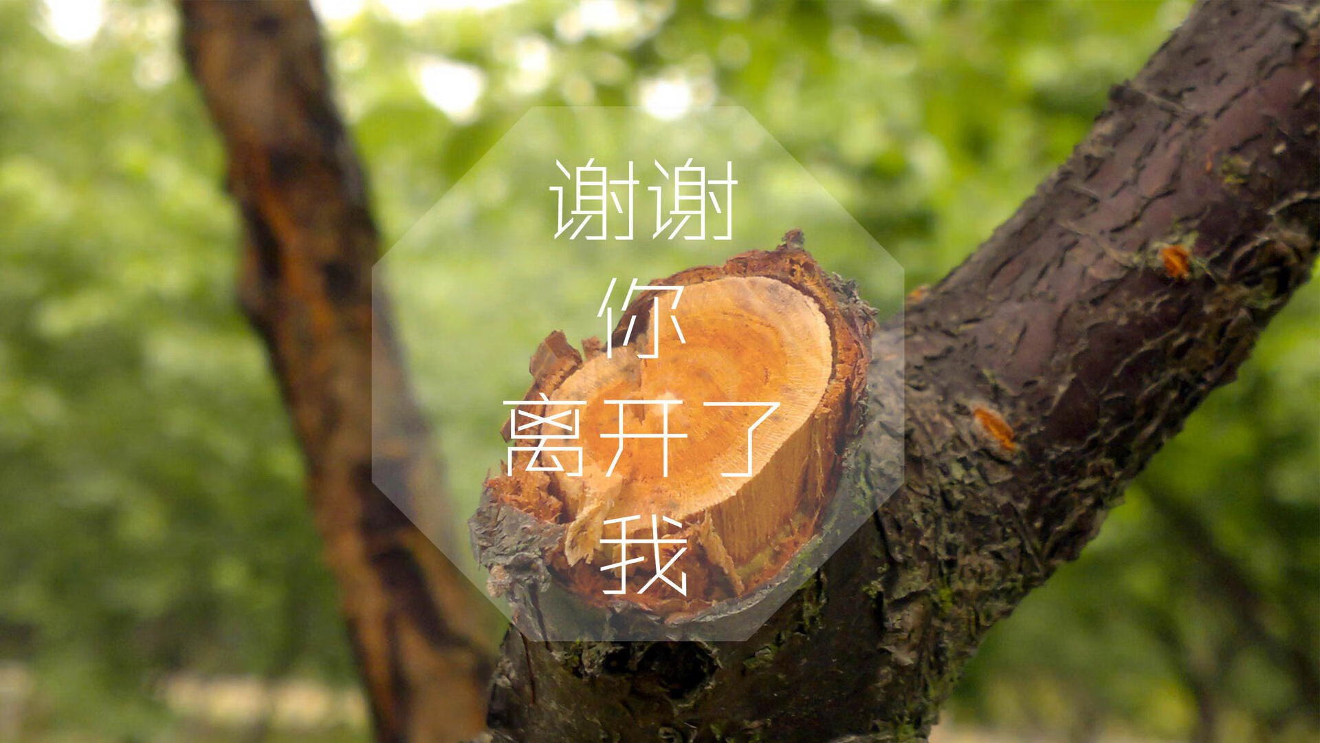 九游游戏中心官网-最激烈的角逐：冠亚军差距仅秒，冠军角逐是什么意思