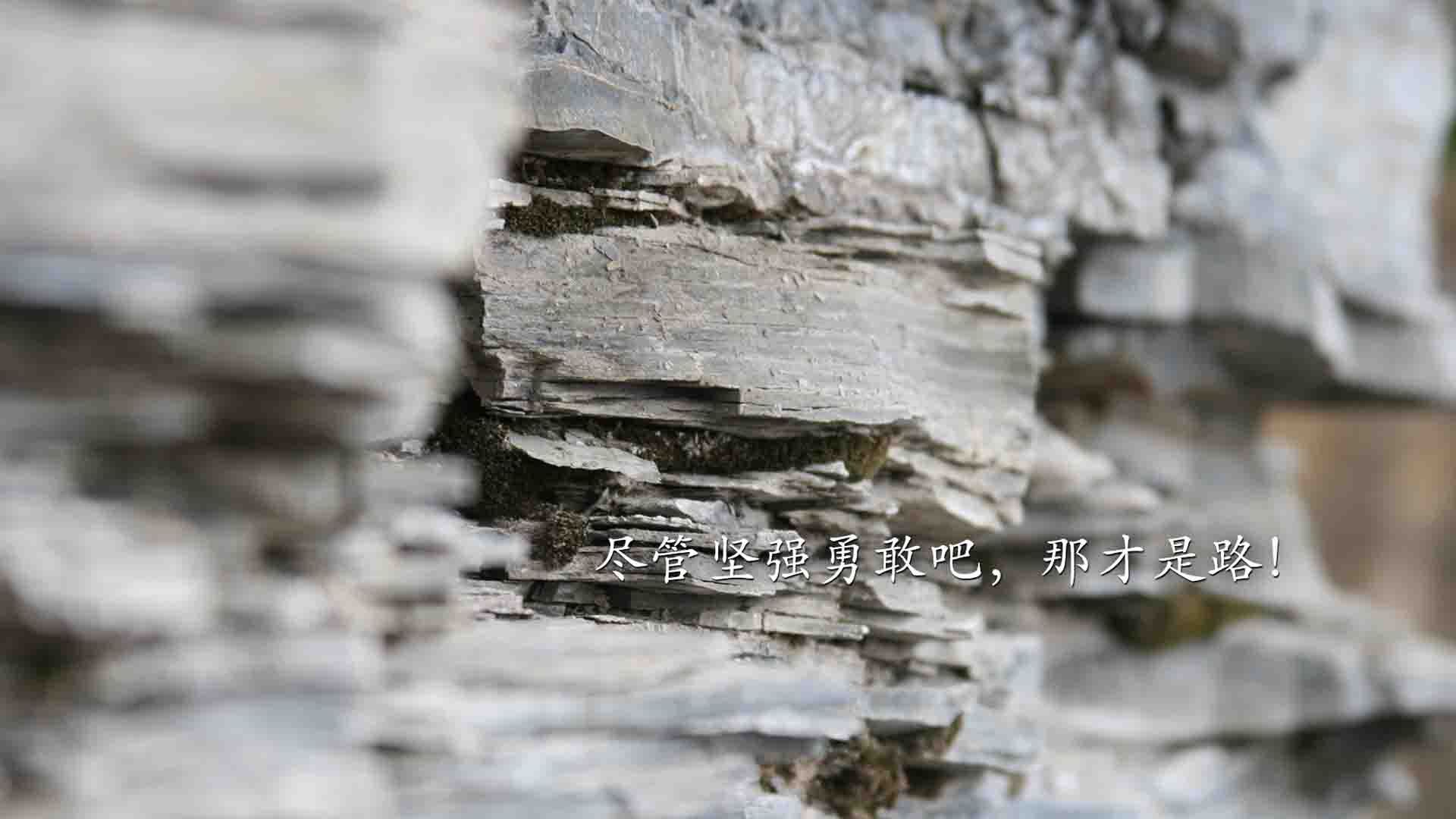 中超是否应限制经纪人参与青训阶段选拔，中超经理