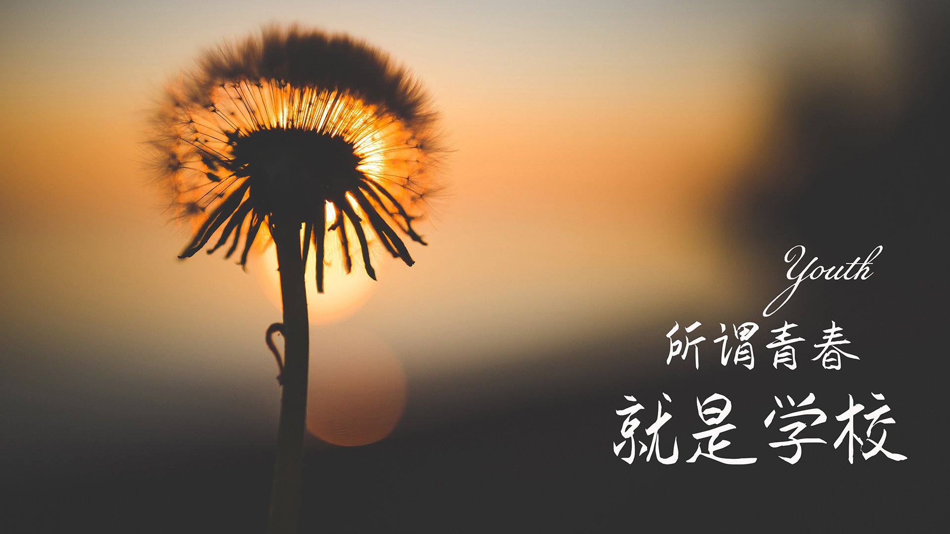 九游登录入口-球队气氛融洽，队员之间默契配合愈发默契，球队情谊句子