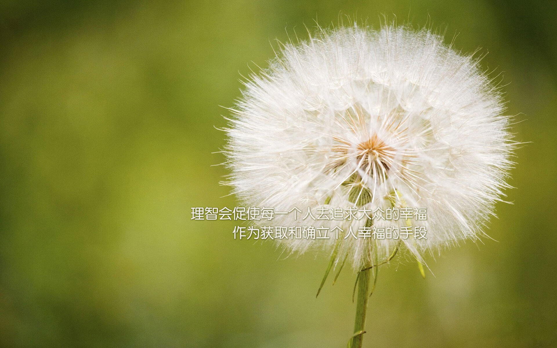 -电竞电竞赛事奖金激励机制创新与实施效果分析，电竞比赛总奖金