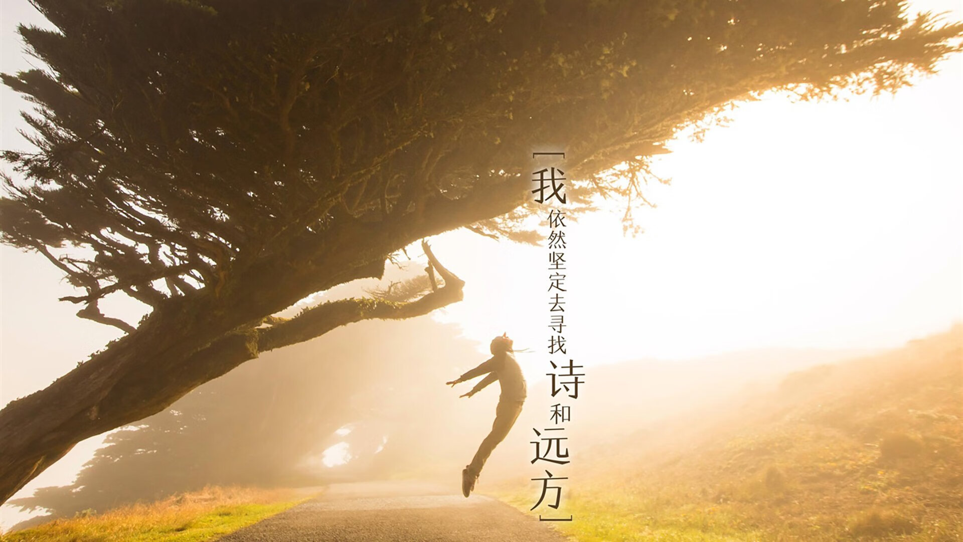 九游登录中心-体育教研员职能拓展与区域教研模式优化路径，体育教研员的职责