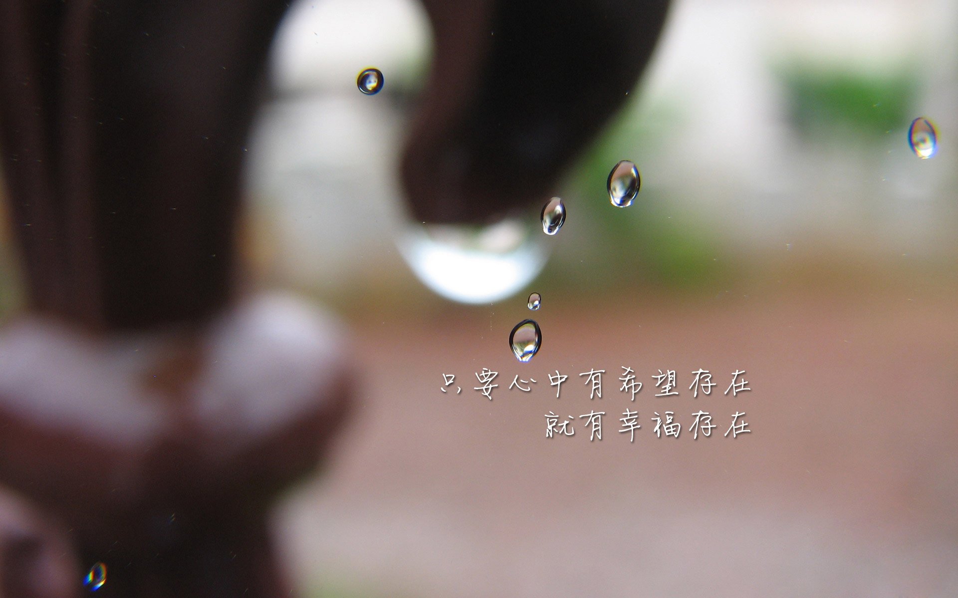 新西兰男队战术创新赢得全球赞誉,未来潜力巨大,新西兰男篮阵容
