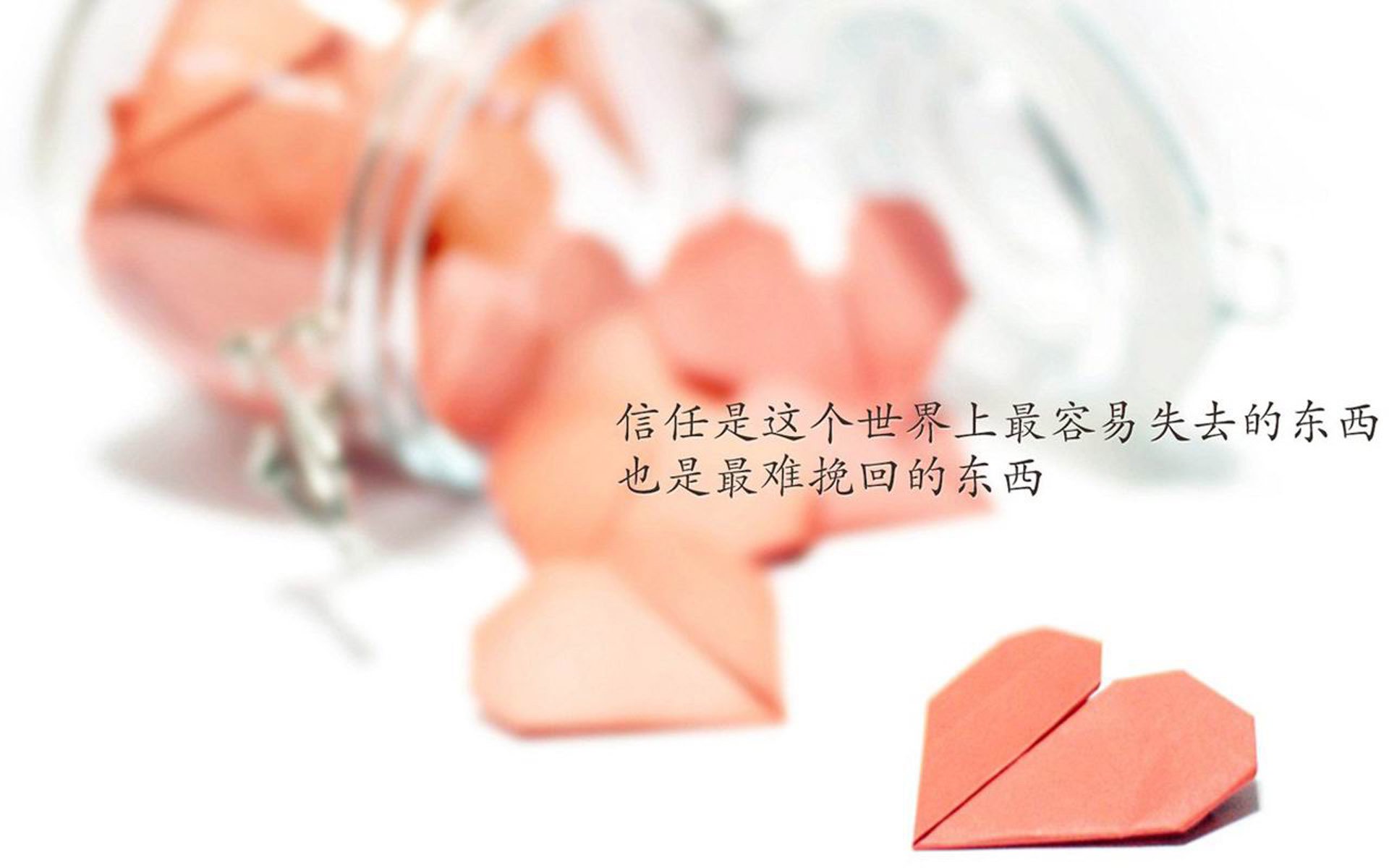 九游官网pc-蛙泳比拼波兰展现新高度，波蛙泳慢动作视频