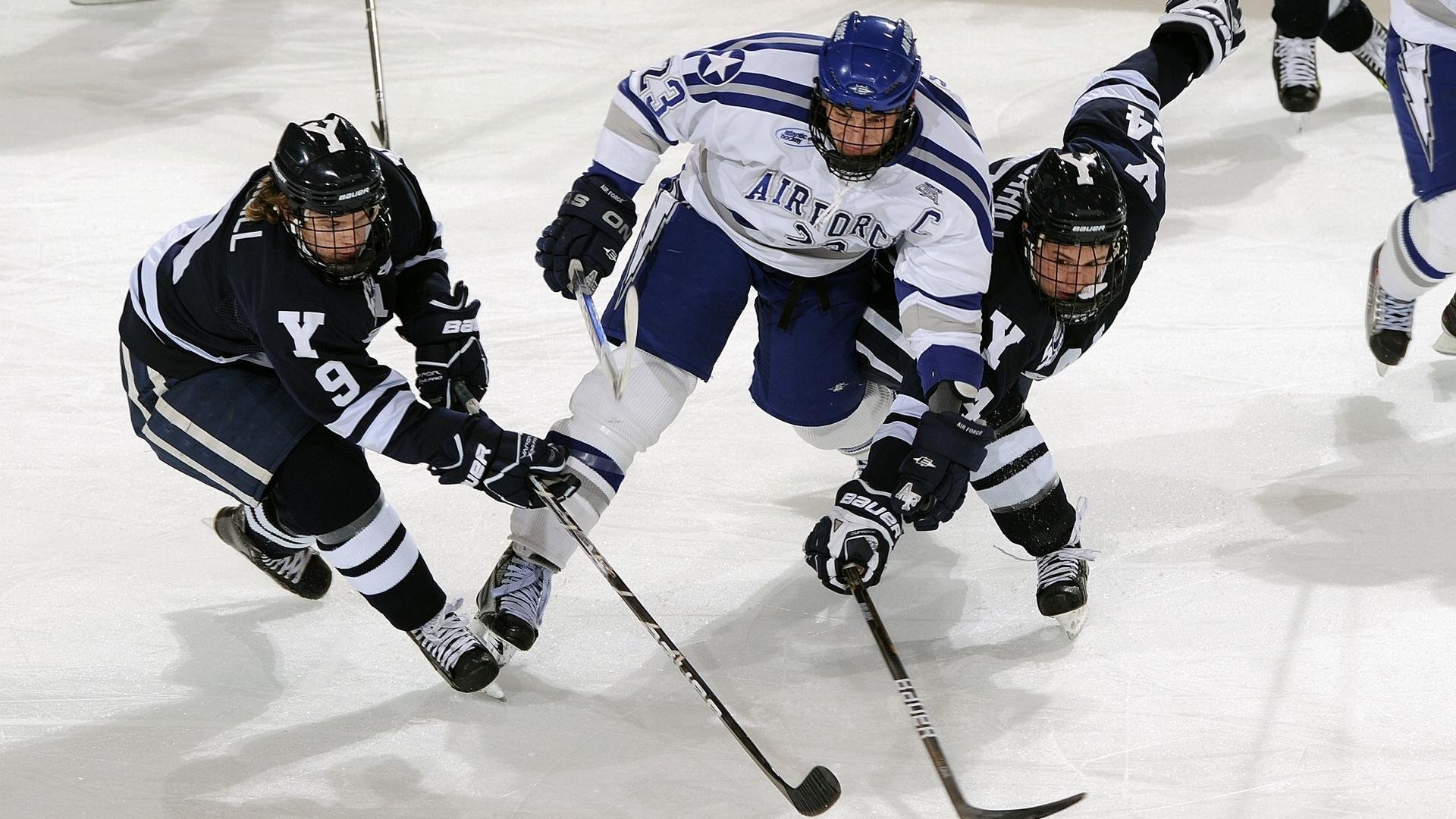 专家点评：赛后分析与未来趋势，赛后集锦